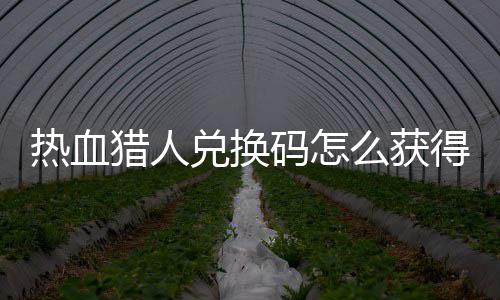 猎人猎人取2全码怎么获码免热血热血兑换得 兑换4大费领