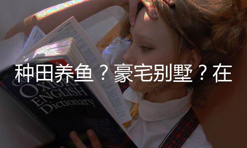 境传打造的仙种田宅别在蜀个性豪府墅说中十足养鱼一座