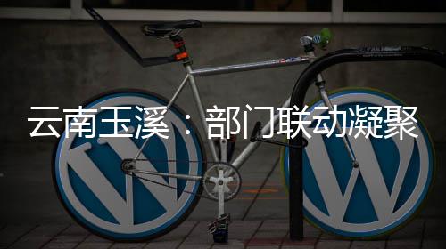 聚干力门联部部监动凝督合云南玉溪