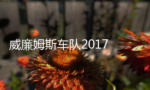 加入姆斯 马姆车威廉威廉队车队复出萨退役再